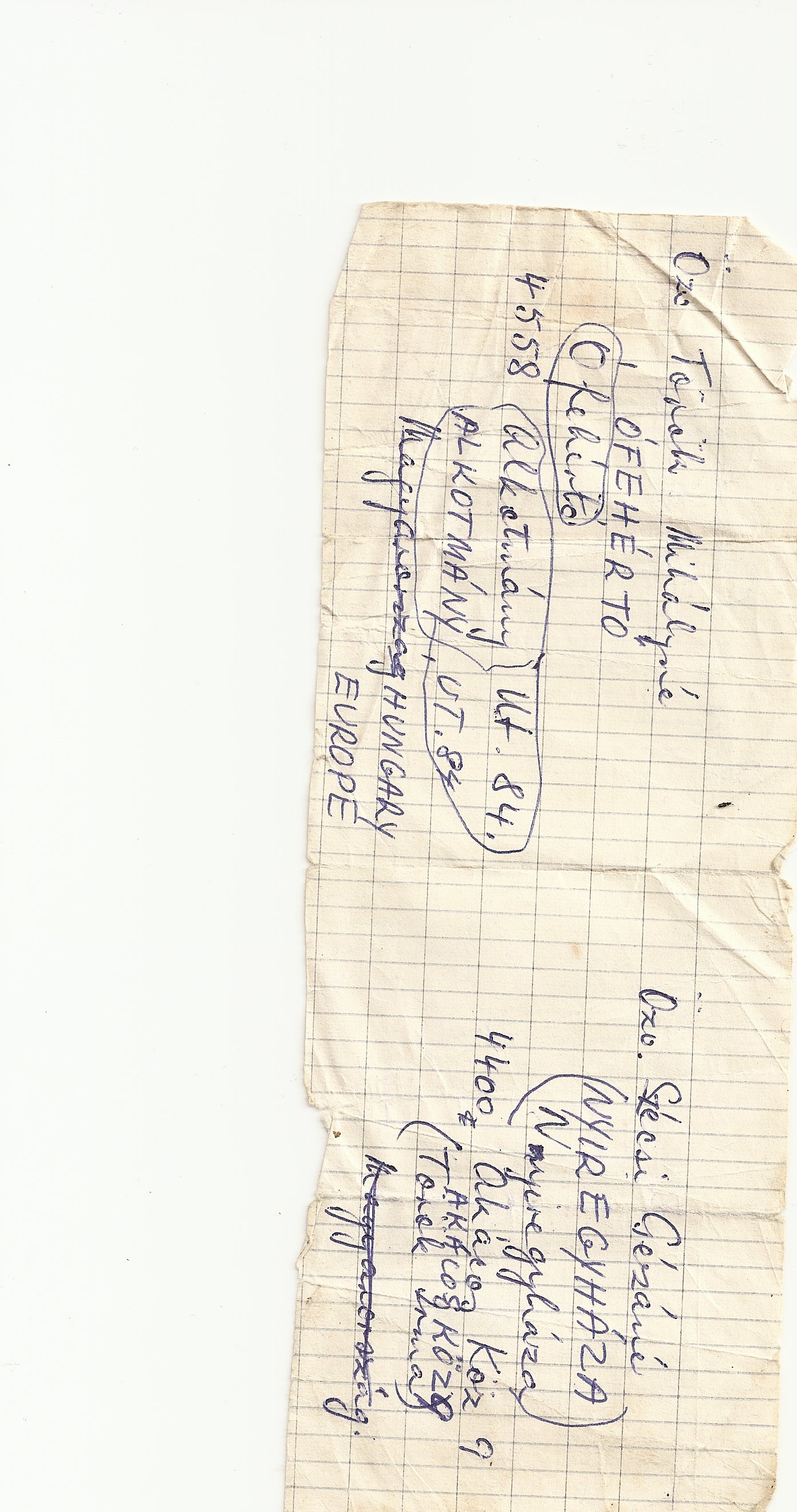 RadixForum Surnames Torok genealogy